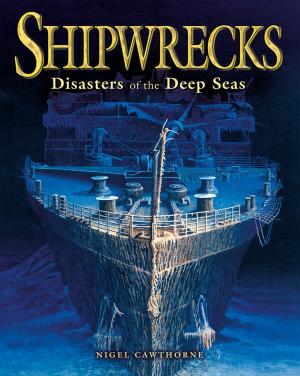 Cover of the book Shipwrecks by Tony Husband