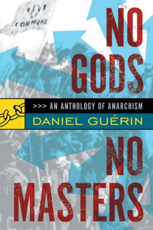 Cover of the book No Gods No Masters by D. D. Johnston