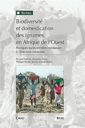 Book cover of Biodiversité et domestication des ignames en Afrique de l'Ouest