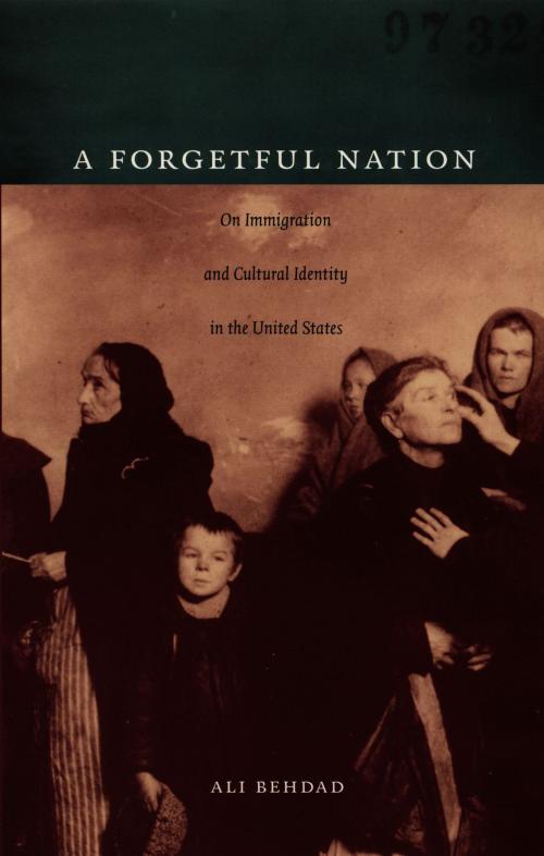 Cover of the book A Forgetful Nation by Ali Behdad, Duke University Press
