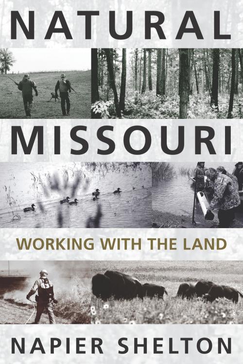 Cover of the book Natural Missouri by Napier Shelton, University of Missouri Press