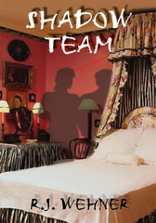 Cover of the book Shadow Team by R.J. Wehner, AuthorHouse
