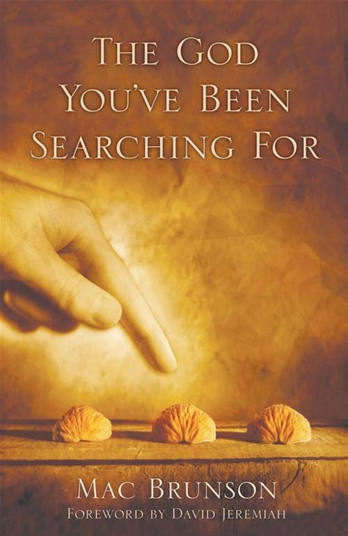 Cover of the book The God You've Been Searching For by Mac Brunson, Moody Publishers