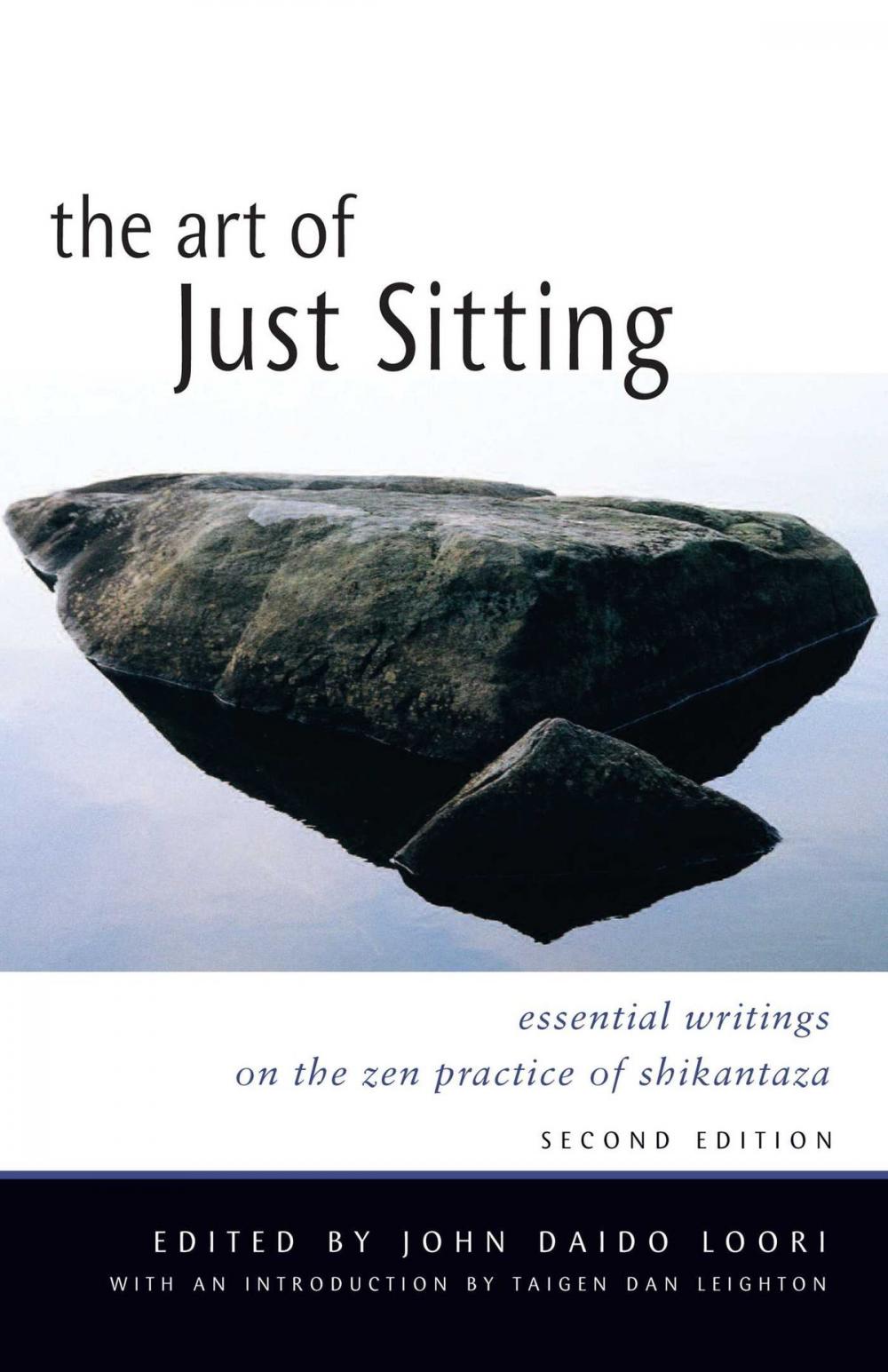 Big bigCover of The Art of Just Sitting