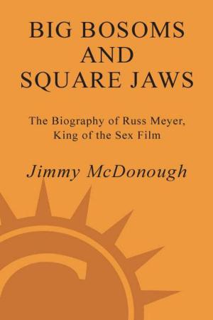 Book cover of Big Bosoms and Square Jaws