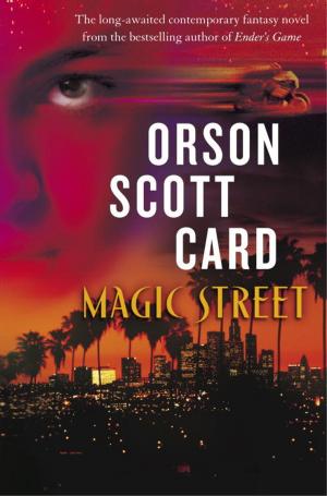 Cover of the book Magic Street by nikki broadwell
