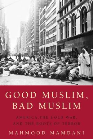 Book cover of Good Muslim, Bad Muslim