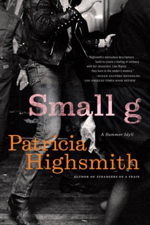 Cover of the book Small g: A Summer Idyll by Patricia A. Jennings