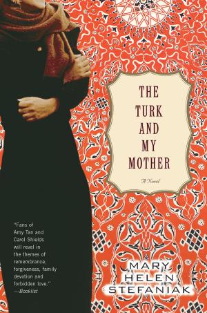 bigCover of the book The Turk and My Mother: A Novel by 