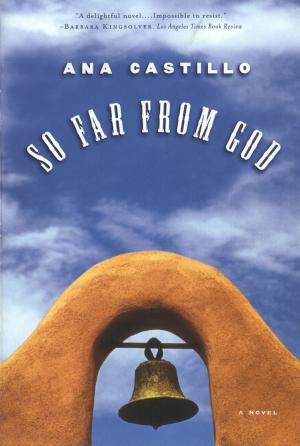 Cover of the book So Far from God: A Novel by Frances Kiernan