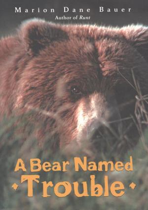 Cover of the book A Bear Named Trouble by Rachel Poliquin
