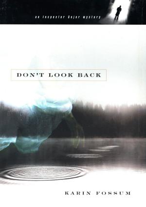 Cover of the book Don't Look Back by Laura Kasischke