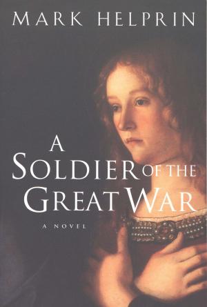 Cover of the book A Soldier of the Great War by Susan Beth Pfeffer