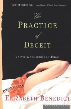 Book cover of The Practice of Deceit
