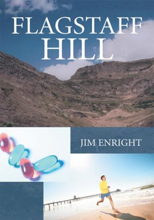 Cover of the book Flagstaff Hill by Bill Overmyer