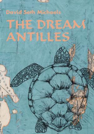 Cover of the book The Dream Antilles by M. A. Khan