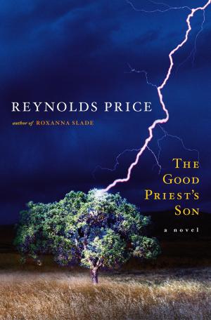 Cover of the book The Good Priest's Son by Elisabeth Kübler-Ross, David Kessler
