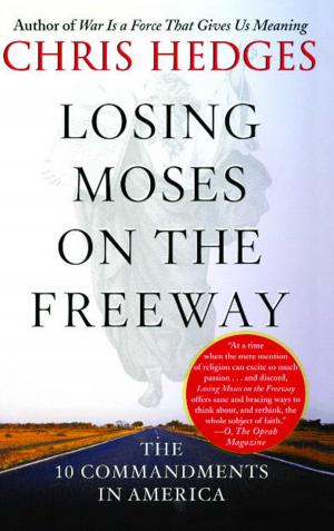 Cover of the book Losing Moses on the Freeway by Larry Berman