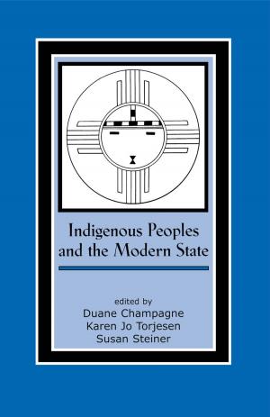Cover of the book Indigenous Peoples and the Modern State by M. Elaine Davis