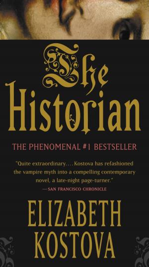 bigCover of the book The Historian by 