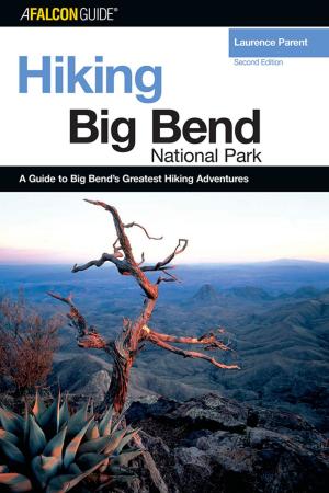Cover of the book Hiking Big Bend National Park by Pam Mackay, Timothy Thomas