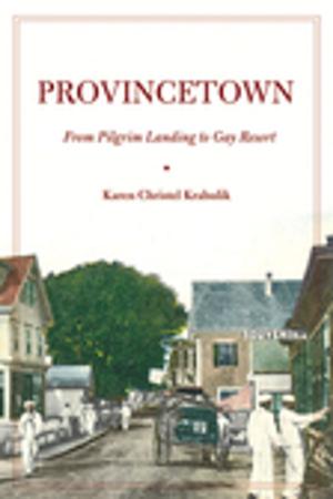Cover of the book Provincetown by Friederike Baer