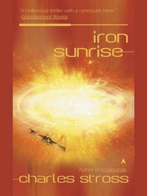 Cover of the book Iron Sunrise by Eli Pariser