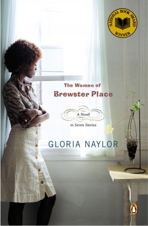 bigCover of the book The Women of Brewster Place by 