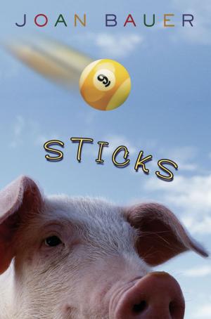 Cover of the book Sticks by Nicole Andrea Burt (nee Spencer)