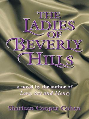 Cover of the book The Ladies of Beverly Hills by Dov Lipman
