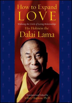 Book cover of How to Expand Love