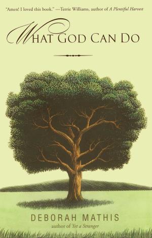 Cover of the book What God Can Do by Benjamin R. Karney, PhD, Thomas N. Bradbury, PhD