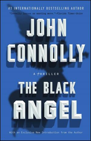 Cover of the book The Black Angel by Julia Gregson