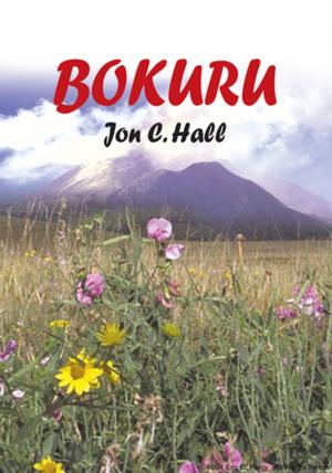 Cover of the book Bokuru by Sharon D. Stover