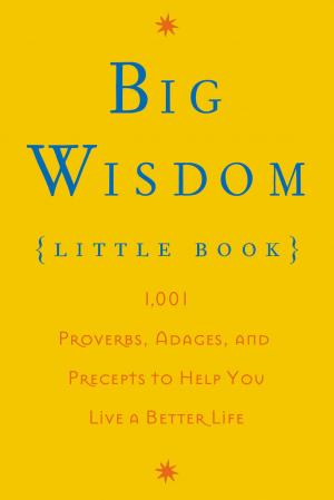 Book cover of Big Wisdom (Little Book)