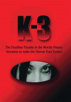 Cover of the book K-3 by Paul Bennett