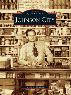 Cover of the book Johnson City by Alberta de Jetley
