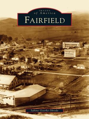 Cover of the book Fairfield by Staci Simon Glover