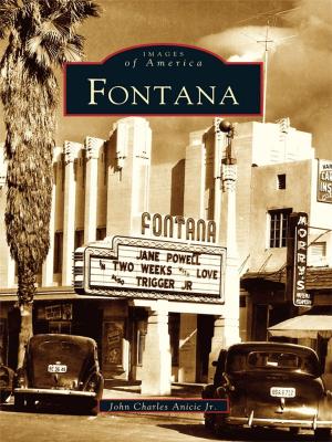Cover of the book Fontana by Alexandra Walker Clark