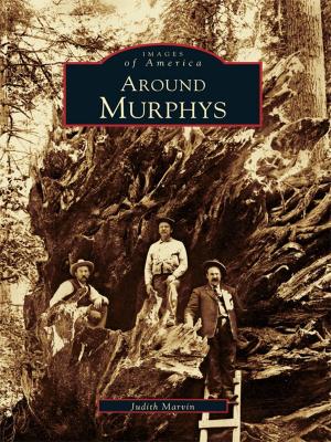 bigCover of the book Around Murphys by 
