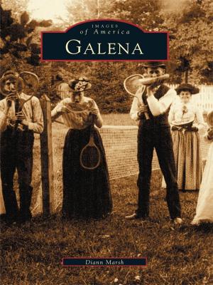 Cover of the book Galena by John F. Hogan, Alex A. Burkholder