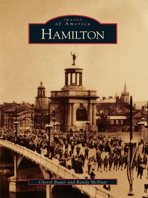 Cover of the book Hamilton by Richard Borkow