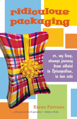 Cover of the book Ridiculous Packaging by Donna Schaper