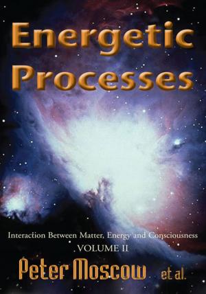 Cover of the book Energetic Processes, Volume 2 by Michael Shinagel