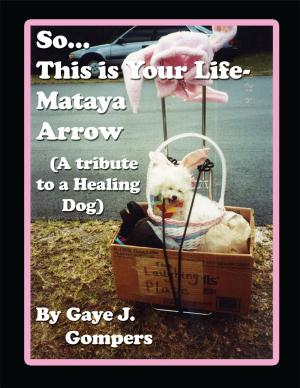 Cover of the book So...This Is Your Life- Mataya Arrow by D.Ray Doyle