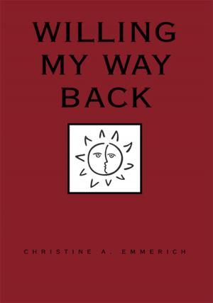 Cover of the book Willing My Way Back by Donald Rilla