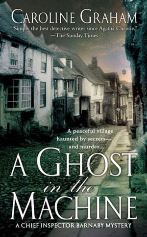 Cover of the book A Ghost in the Machine by Lisa Pulitzer, Cole Thompson