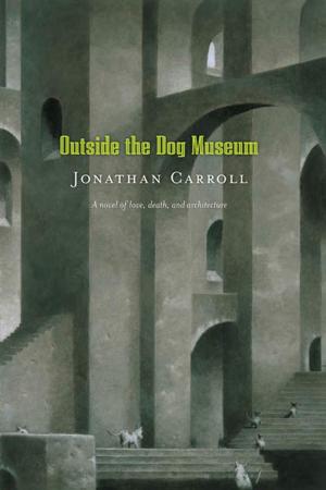 bigCover of the book Outside the Dog Museum by 