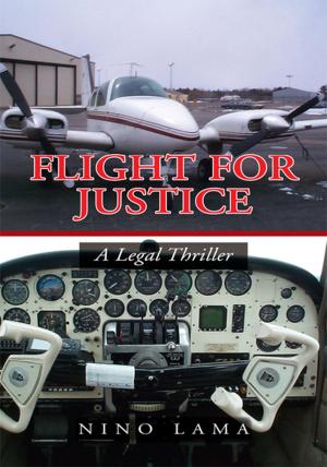 Cover of the book Flight for Justice by Pastor Michael Meyer