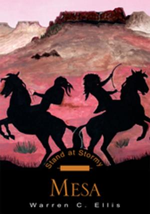 Book cover of Stand at Stormy Mesa